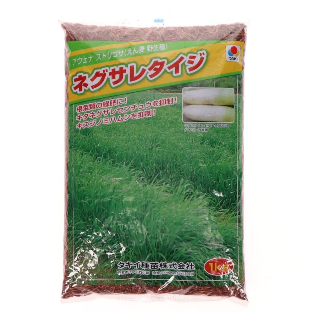 【早期予約・緑肥】　アウェナストリゴサ　ネグサレタイジ　１ｋｇ　【申込期限：３月３１日】