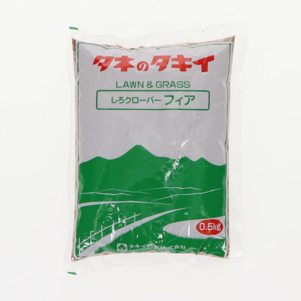 【早期予約・緑肥】　しろクローバ　フェア　０．５ｋｇ　【申込期限：３月３１日】