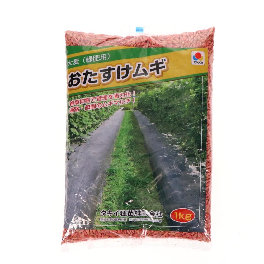 【早期予約・緑肥】　大麦　おたすけムギ　１ｋｇ　【申込期限：３月３１日】