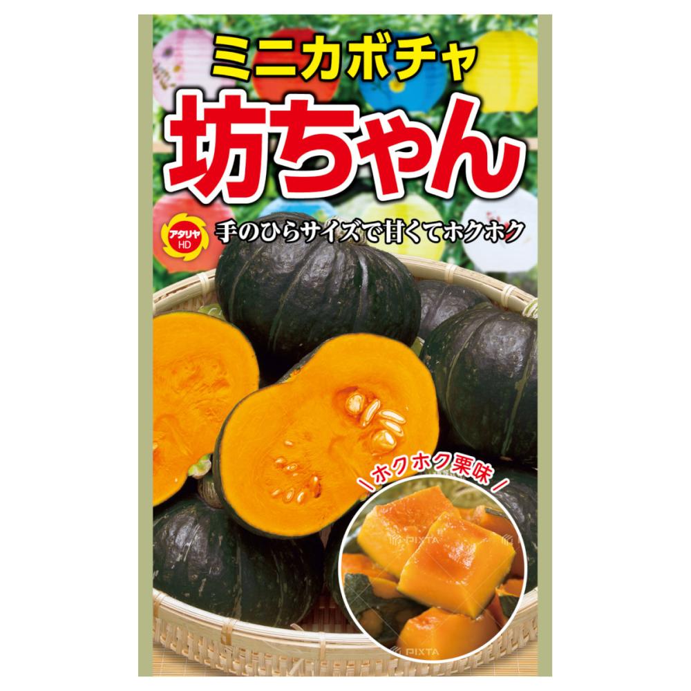 カボチャ種子　ミニカボチャ　坊ちゃん