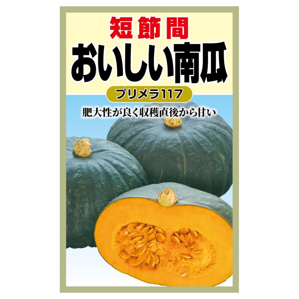 カボチャ種子　おいしい南瓜　プリメラ１１７