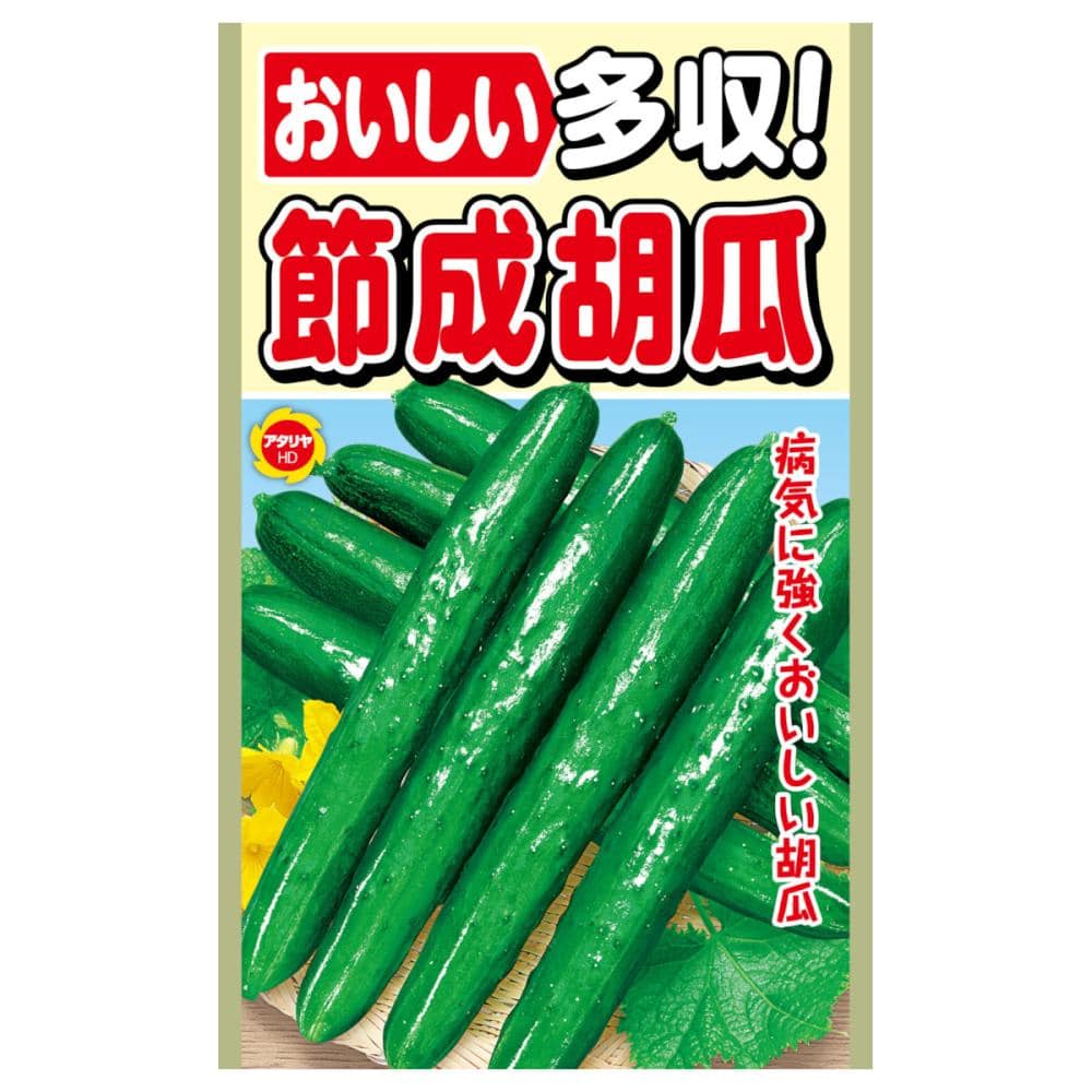 キュウリ種子　節成胡瓜