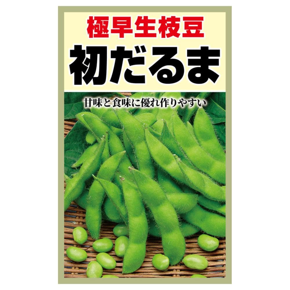 エダマメ種子　極早生枝豆　初だるま