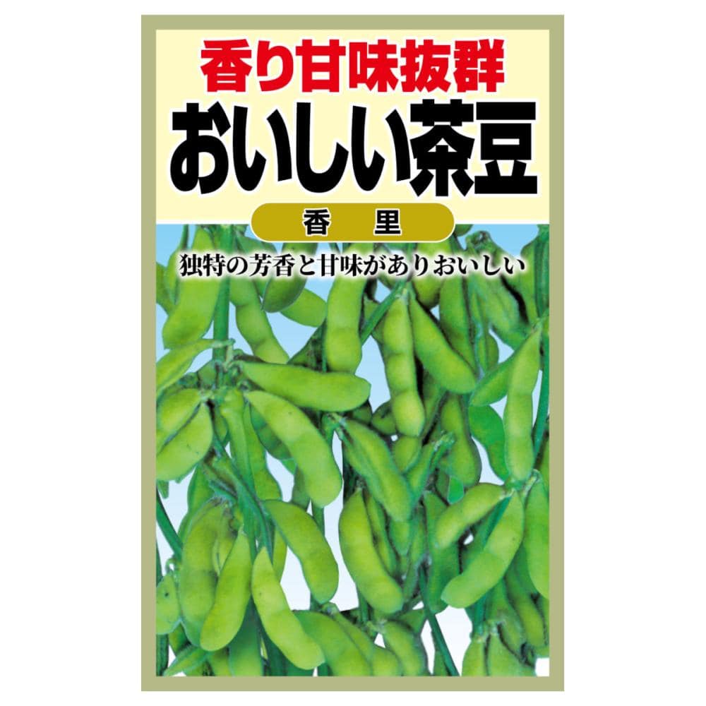 エダマメ種子　おいしい茶豆