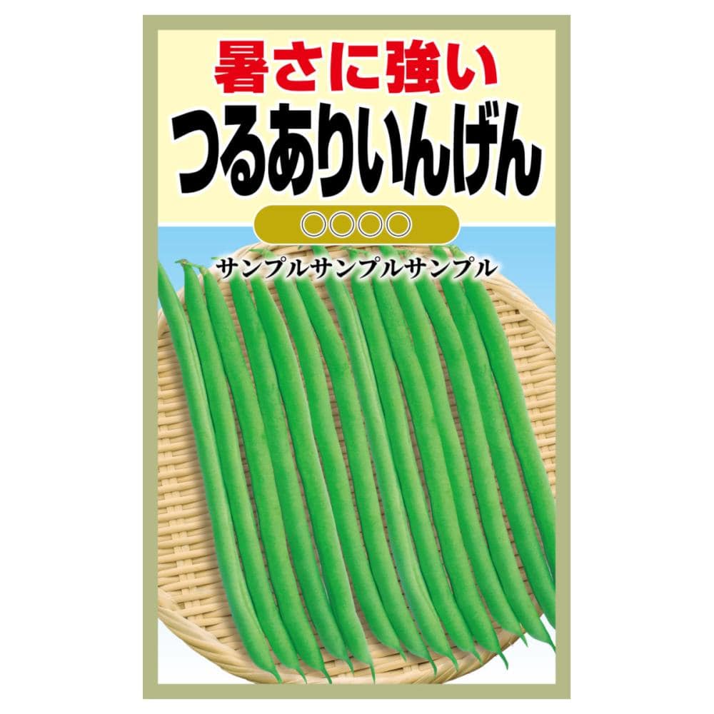 インゲンマメ種子　つるありいんげん
