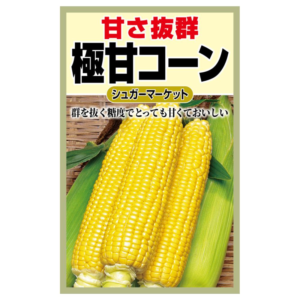 トウモロコシ種子　極甘コーン