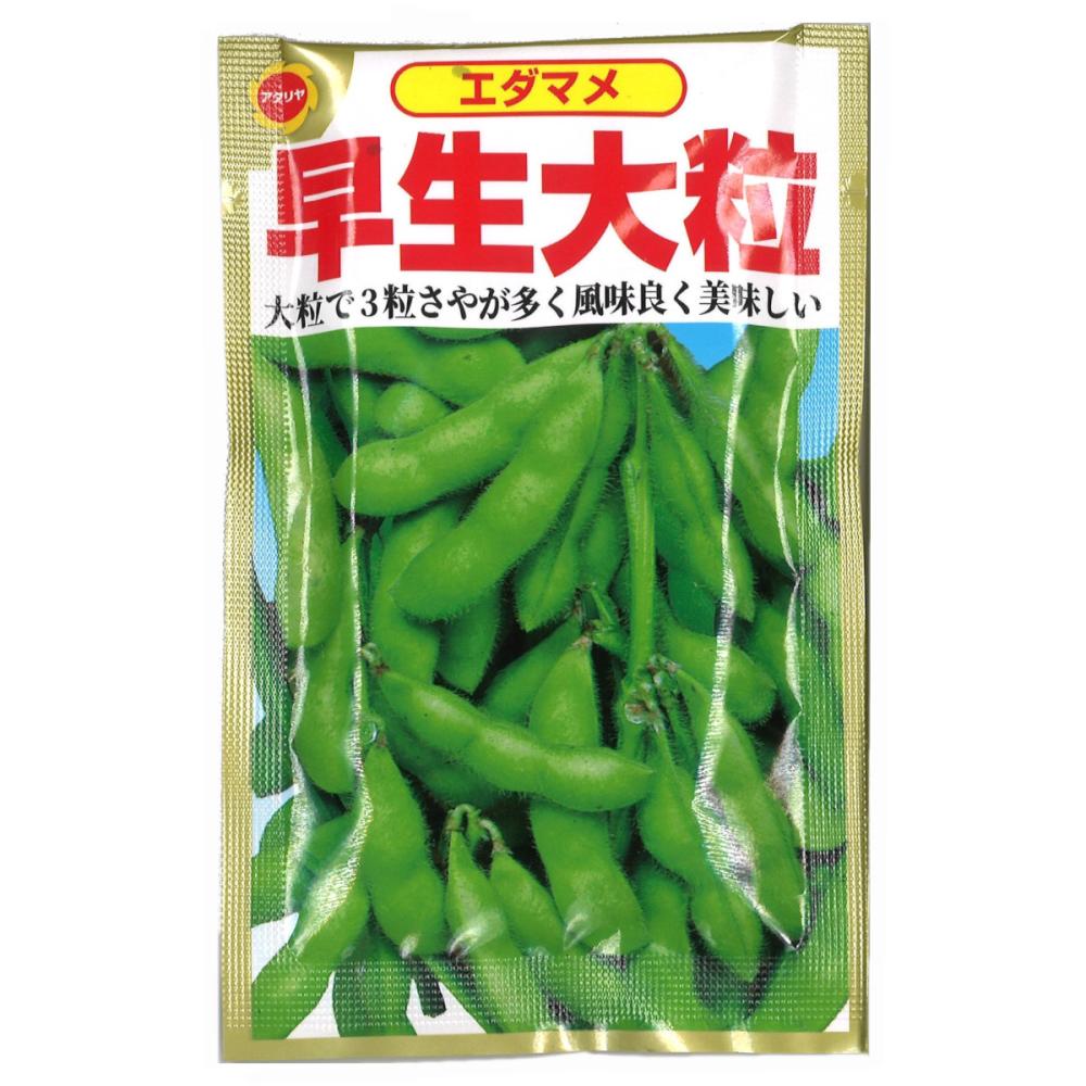 エダマメ種子　早生大粒