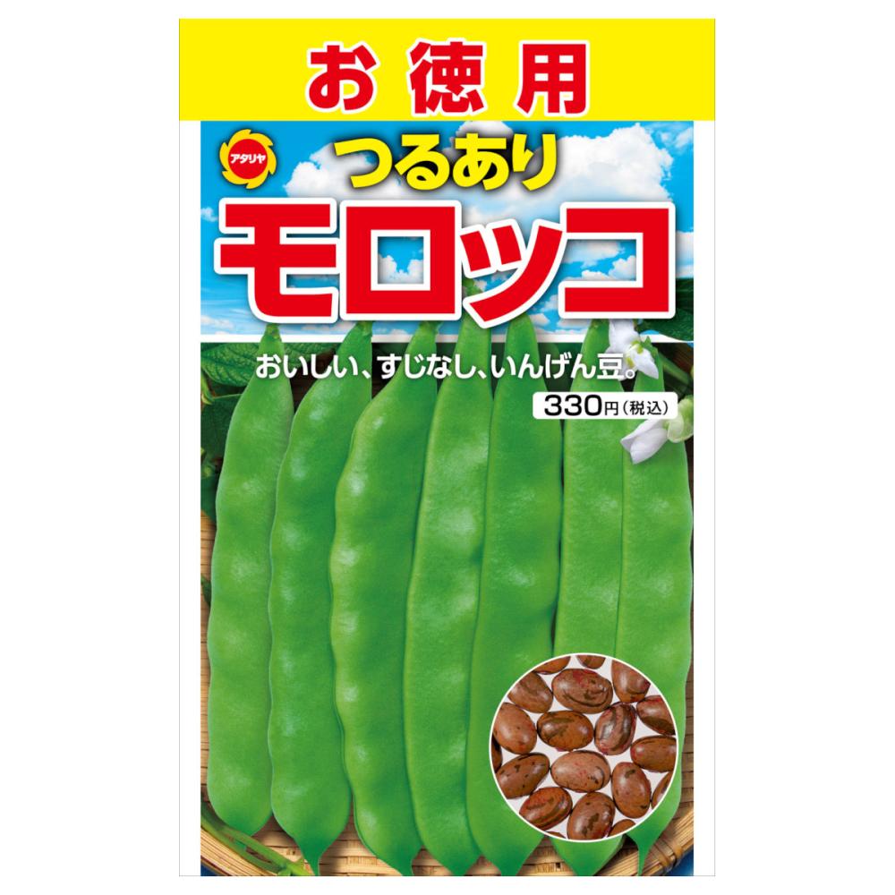 インゲンマメ種子　つるあり　モロッコ　お徳用