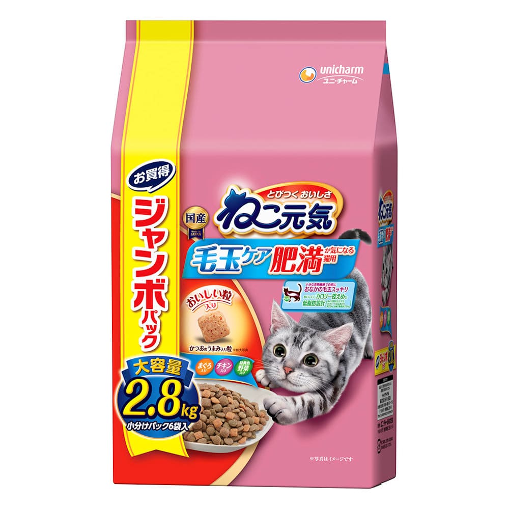 ねこ元気　毛玉ケア肥満が気になる猫用　２．８ｋｇ