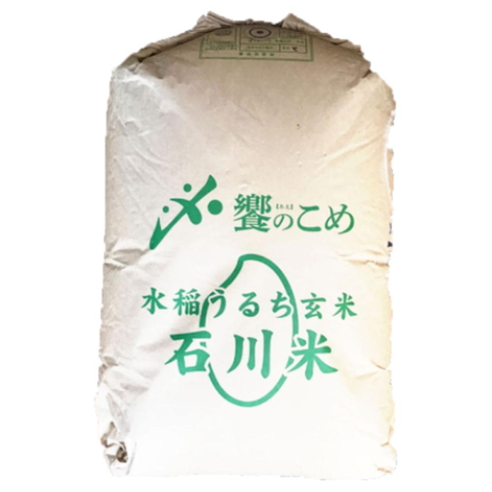 令和７年度　石川県能登産こしひかり　玄米３０ｋｇ