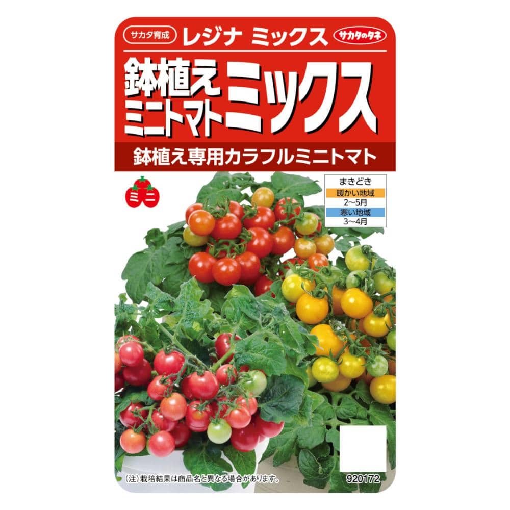 サカタのタネ　鉢植えミニトマト　レジナ　ミックス