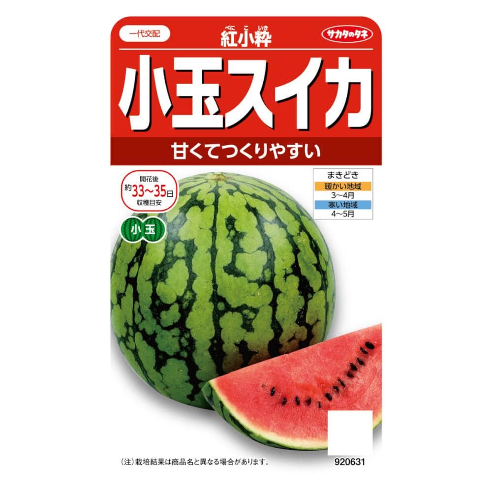 サカタのタネ　小玉スイカ　紅小粋