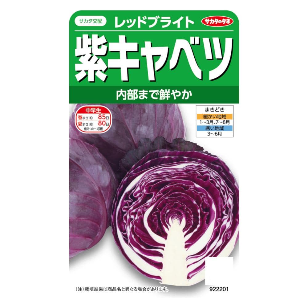 サカタのタネ　紫キャベツ　レッドブライト