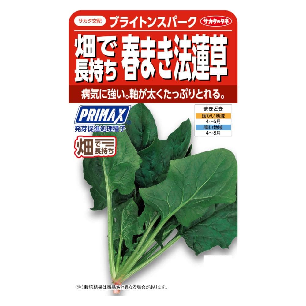 サカタのタネ　ホウレンソウ　ＰＲＩＭＡＸ　ブライトンスパーク