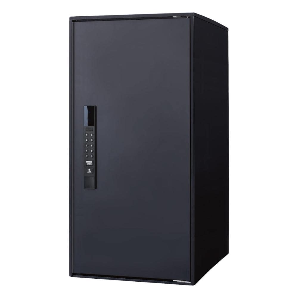 パナソニック　宅配ボックス　イーコンボライト　ラージ　ノーマル　マットブラック　ＣＴＮ６２５０ＲＢ