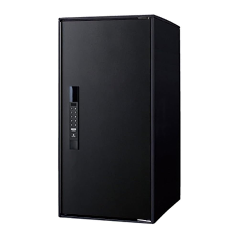 パナソニック　宅配ボックス　イーコンボライト　ラージ　ノーマル　鋳鉄ブラック　ＣＴＮ６２５０ＲＴＢ