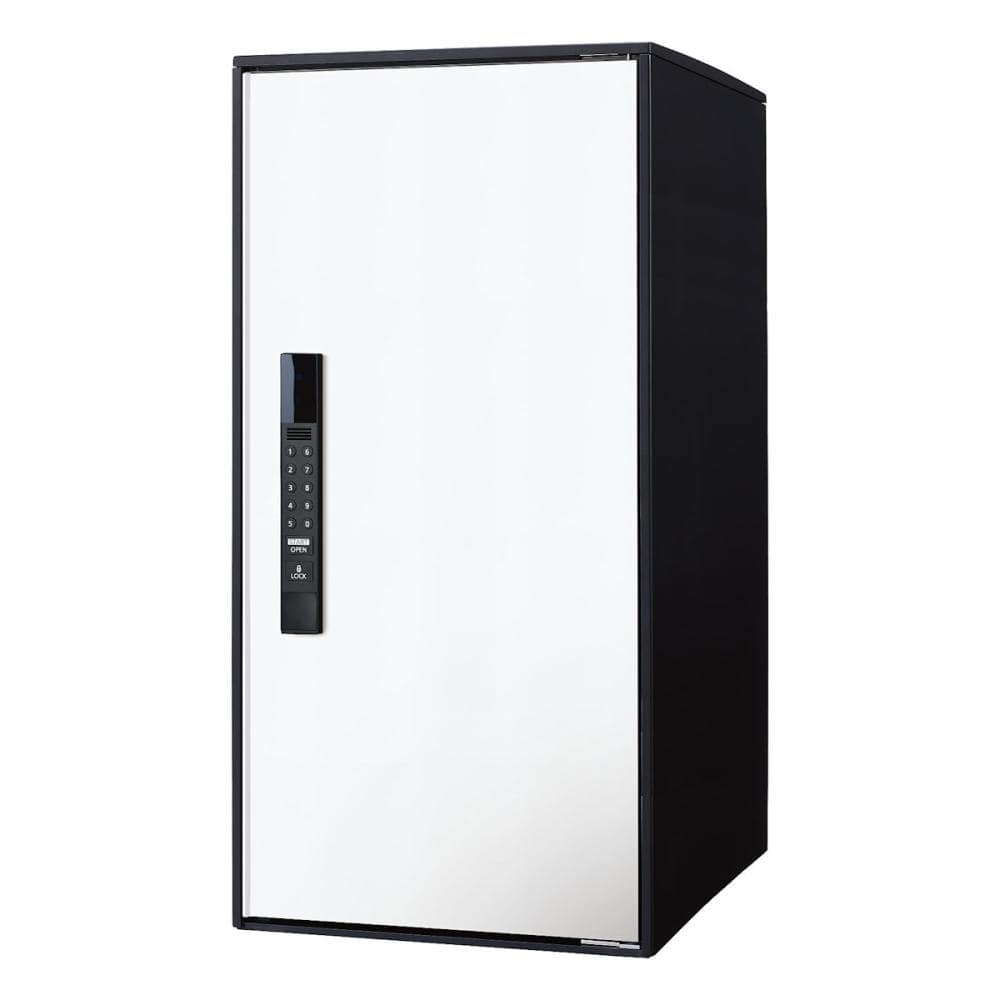 パナソニック　宅配ボックス　イーコンボライト　ラージ　ノーマル　漆喰ホワイト　ＣＴＮ６２５０ＲＷＳ