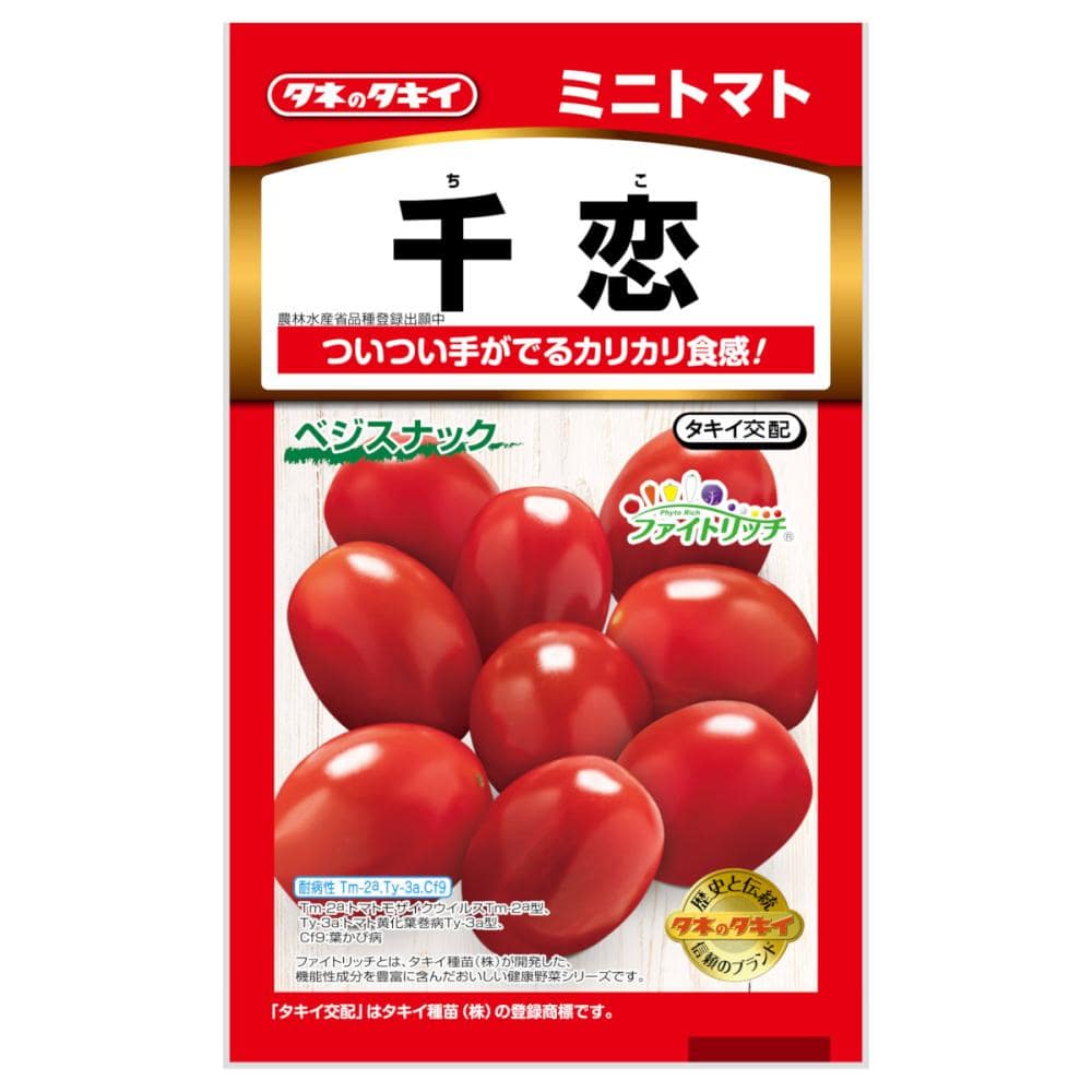 タキイ種苗　ミニトマト　千恋