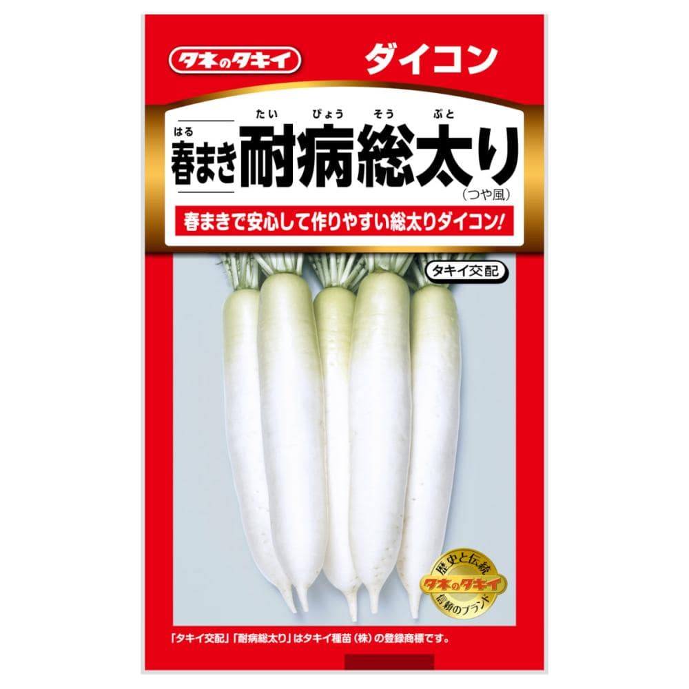 タキイ種苗　春まき耐病総太り　つや風