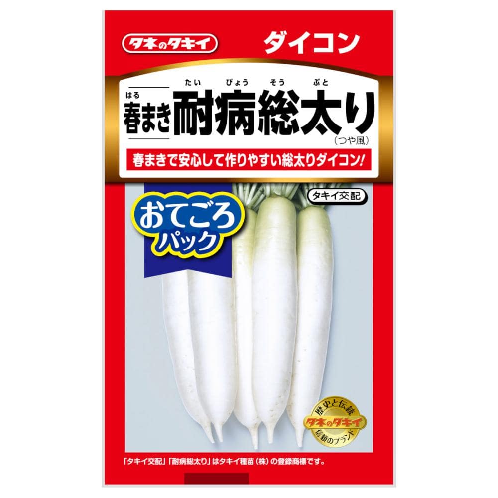 タキイ種苗　春まき耐病総太り　つや風　おてごろパック