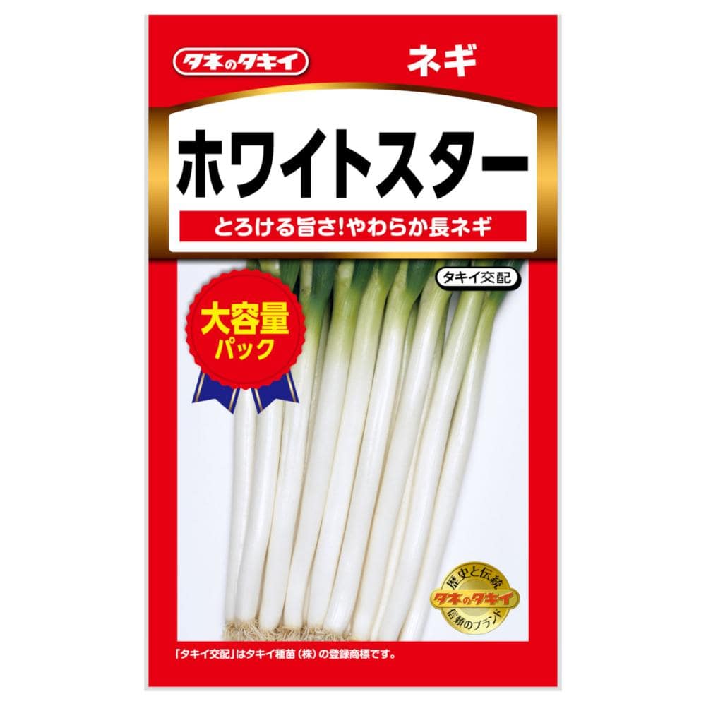 タキイ種苗　ホワイトスター　ネギ　大容量パック