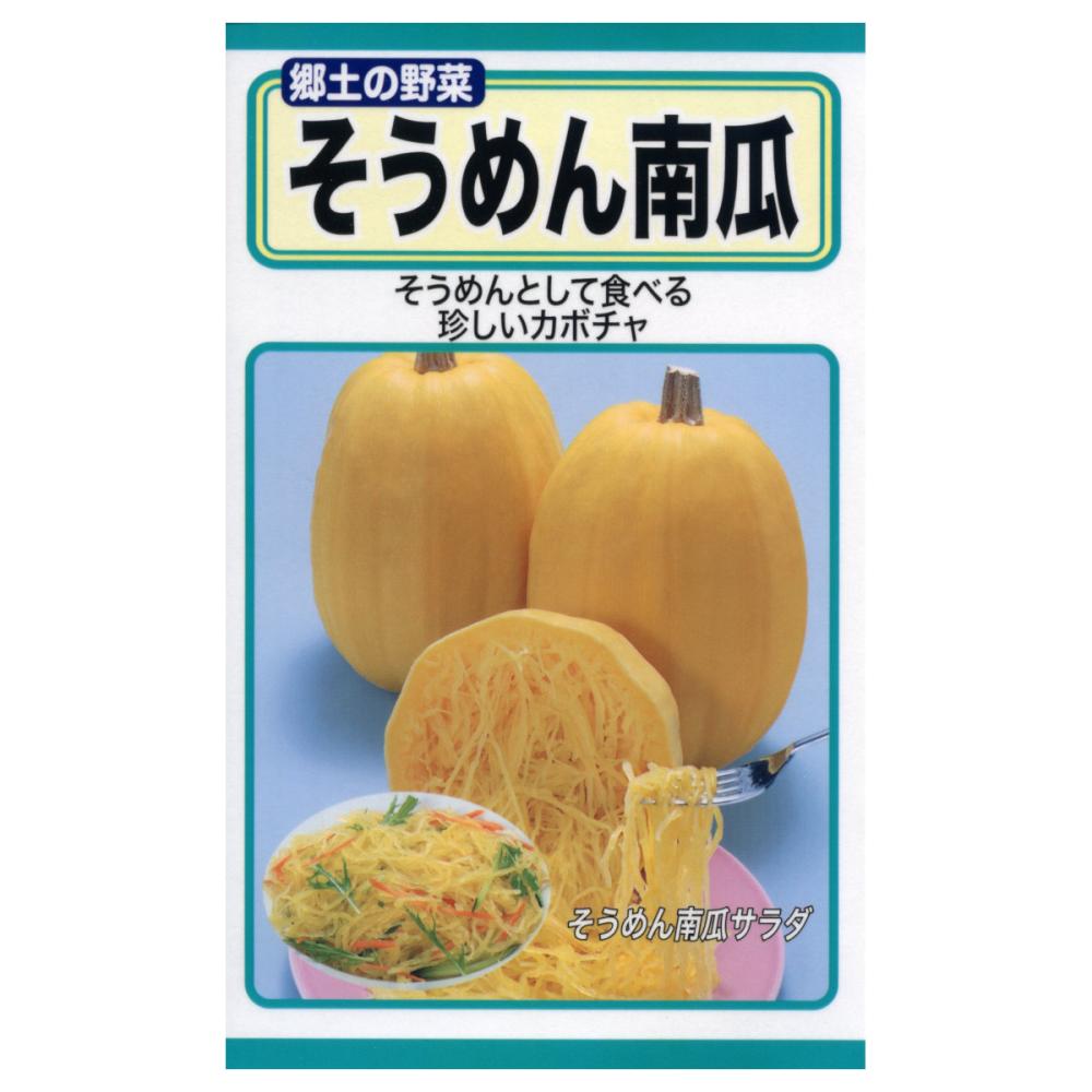 トーホクのたね　そうめん南瓜