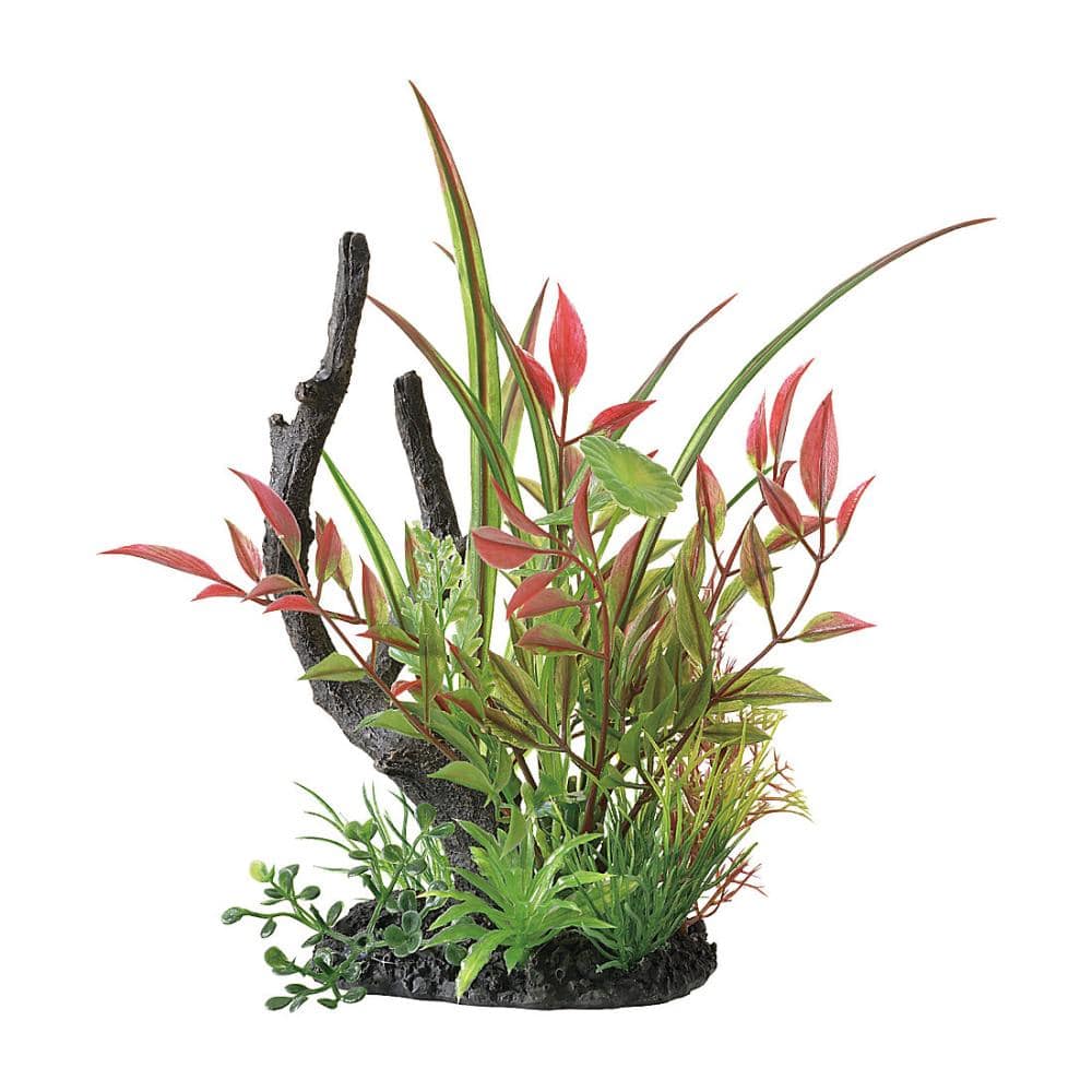 癒し水景　ＭＩＸプランツ　ウッド　ルドウィジア