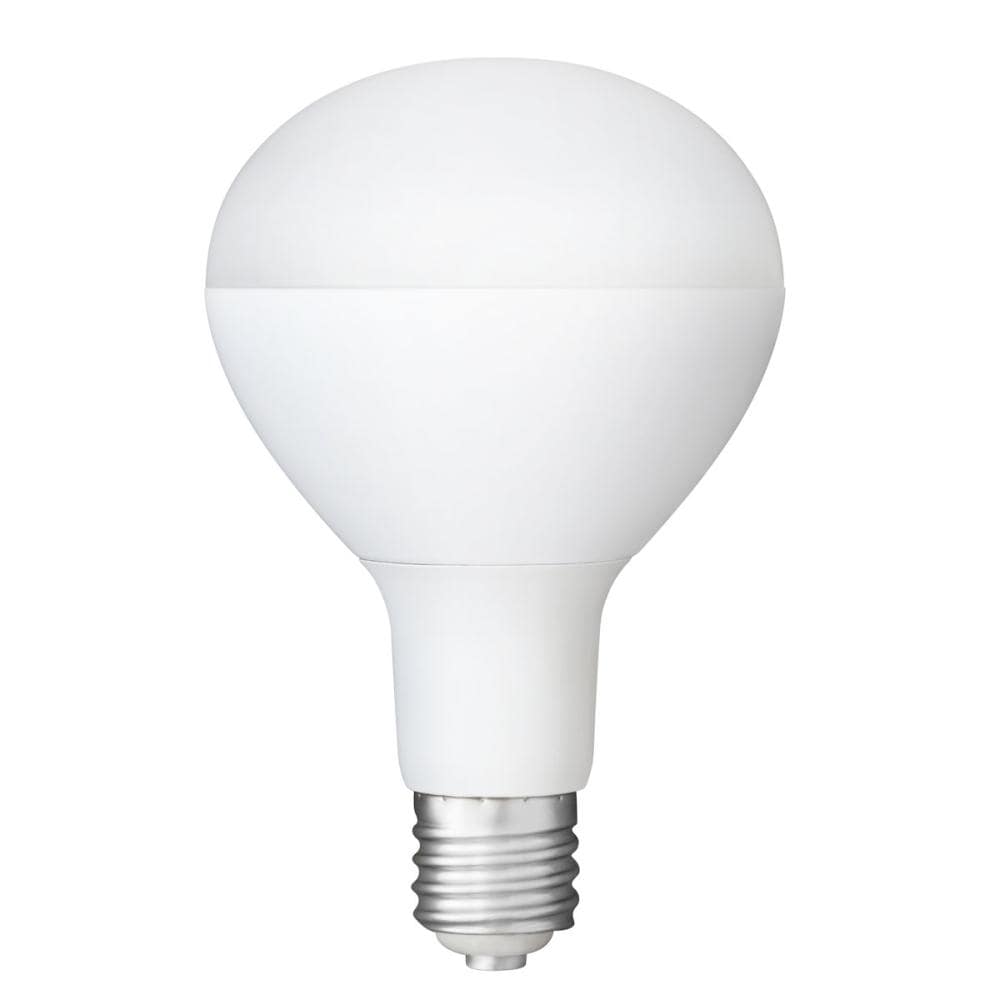 アイリスオーヤマ　ＬＥＤ投光器用交換電球　３０００ｌｍ　ＬＤＲ２５Ｄ－Ｈ－Ｅ３９－Ｅ２