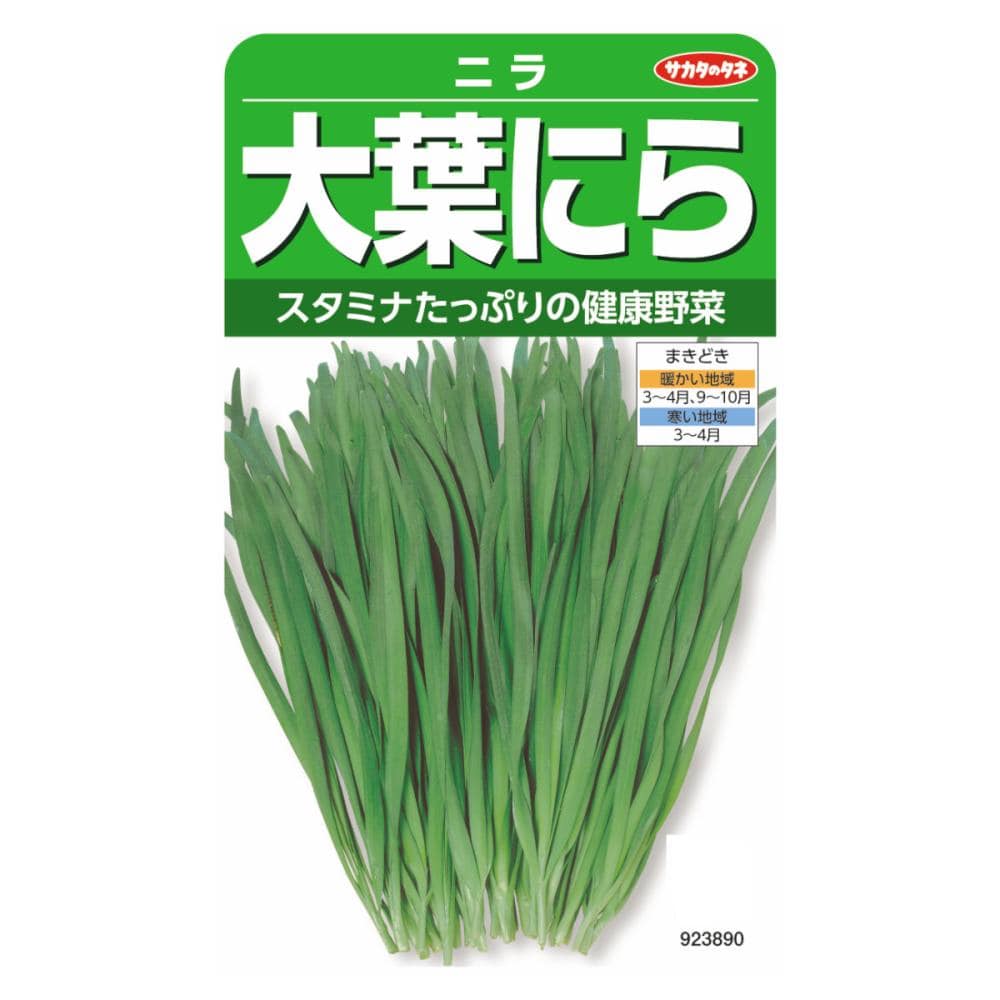 サカタのタネ　ニラ　大葉にら　グリーンロード