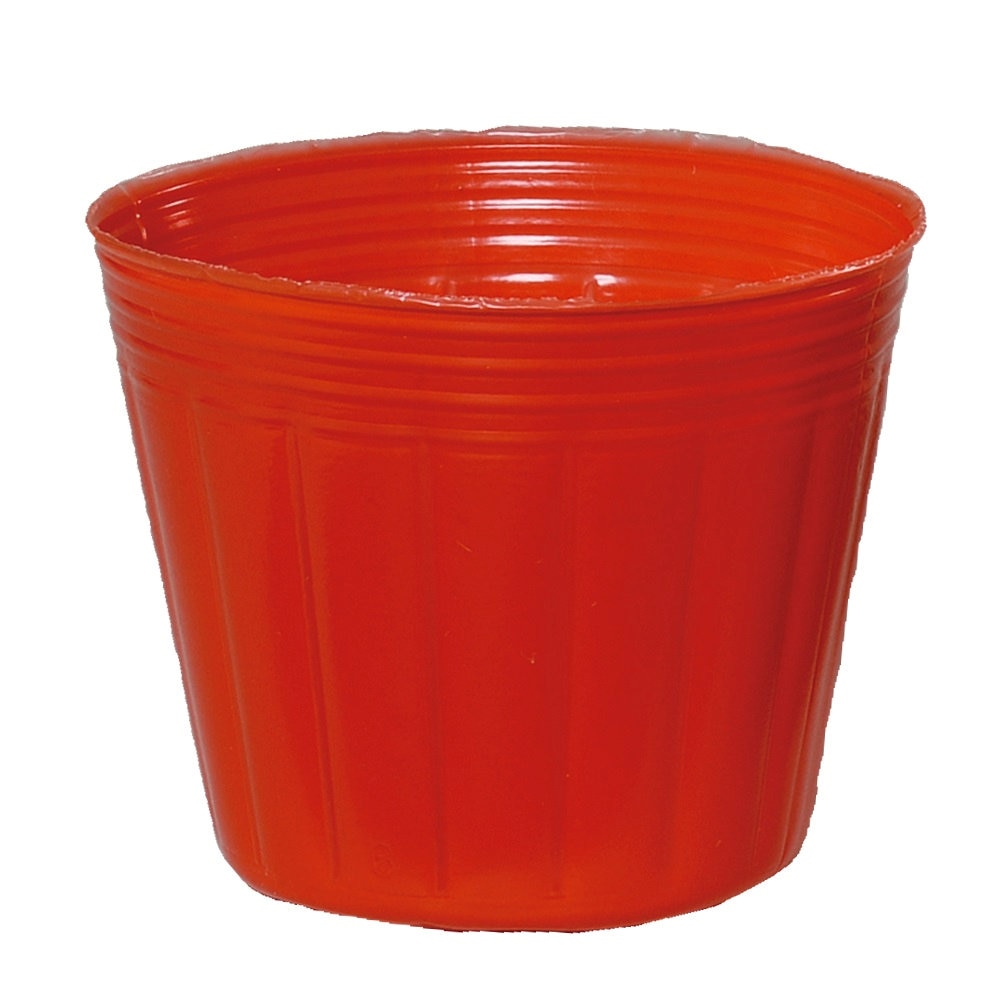 カラーポット９ｃｍ　赤　１００ポット入り