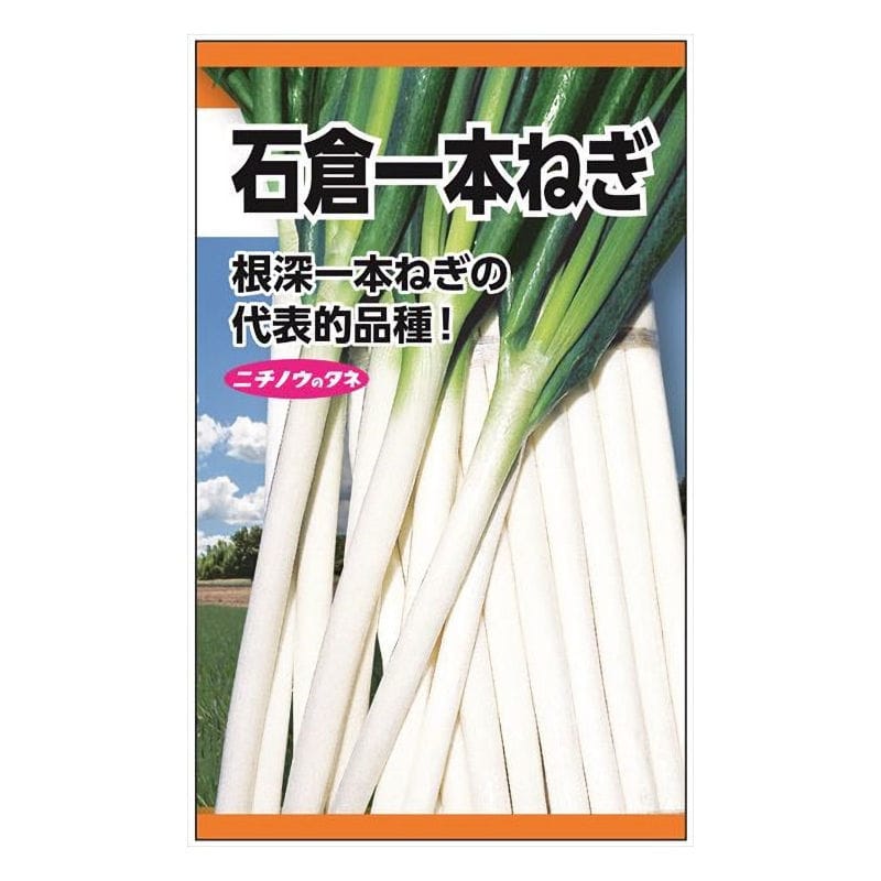 ニチノウのタネ　石倉一本ねぎ