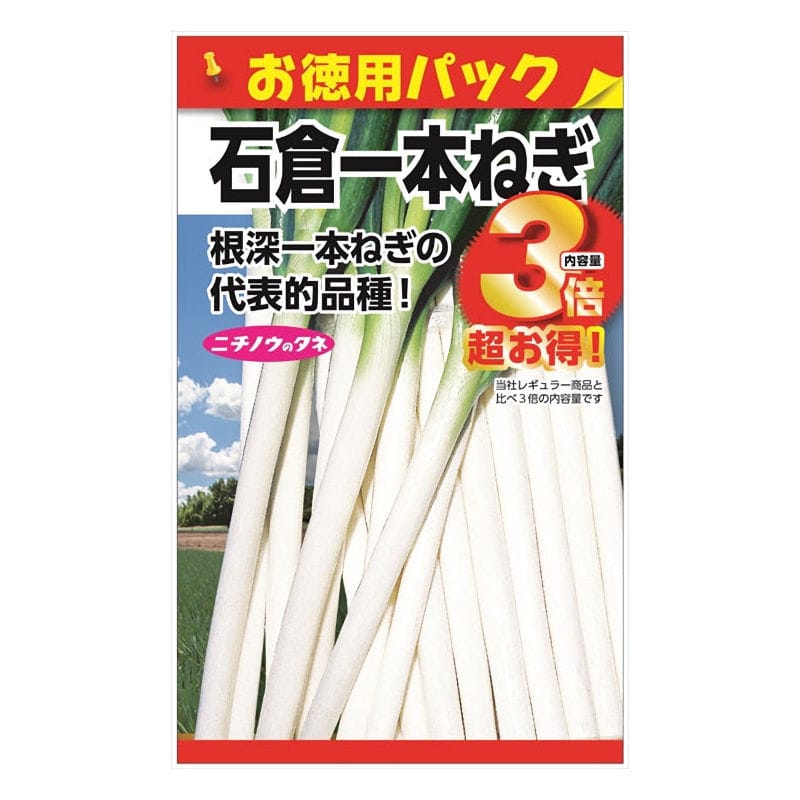 ニチノウのタネ　石倉一本ねぎ　お徳用パック