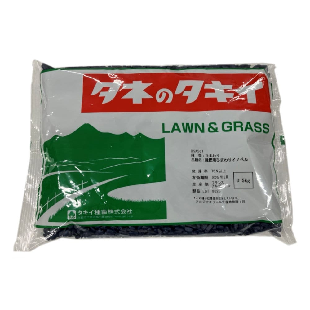 【早期予約・緑肥】　緑肥用ひまわり　イノベル　０．５ｋｇ　【申込期限：３月３１日】