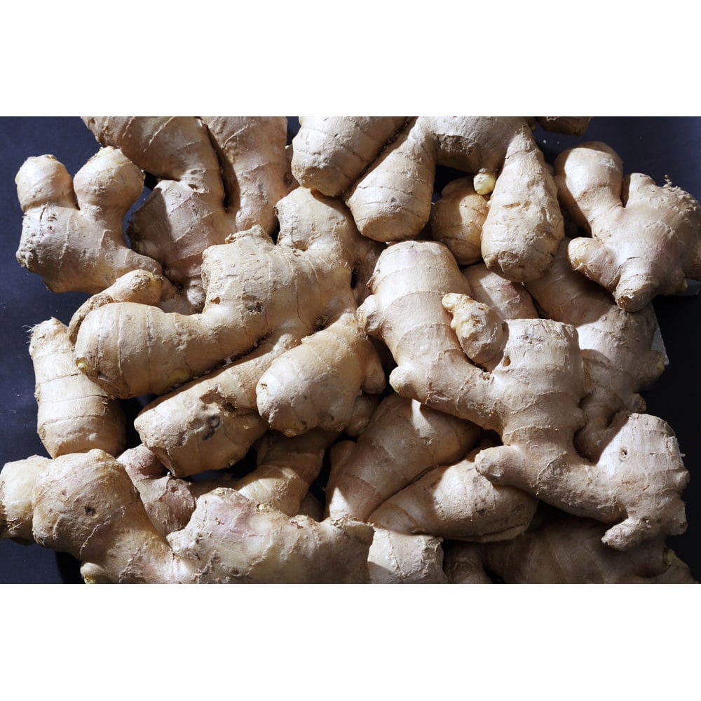 完売御礼【春予約】　中国産　大身しょうが　５００ｇ　【申込期限：３月２２日（日）】　【引渡予定日：４月１１日（土）～１９日（日）】