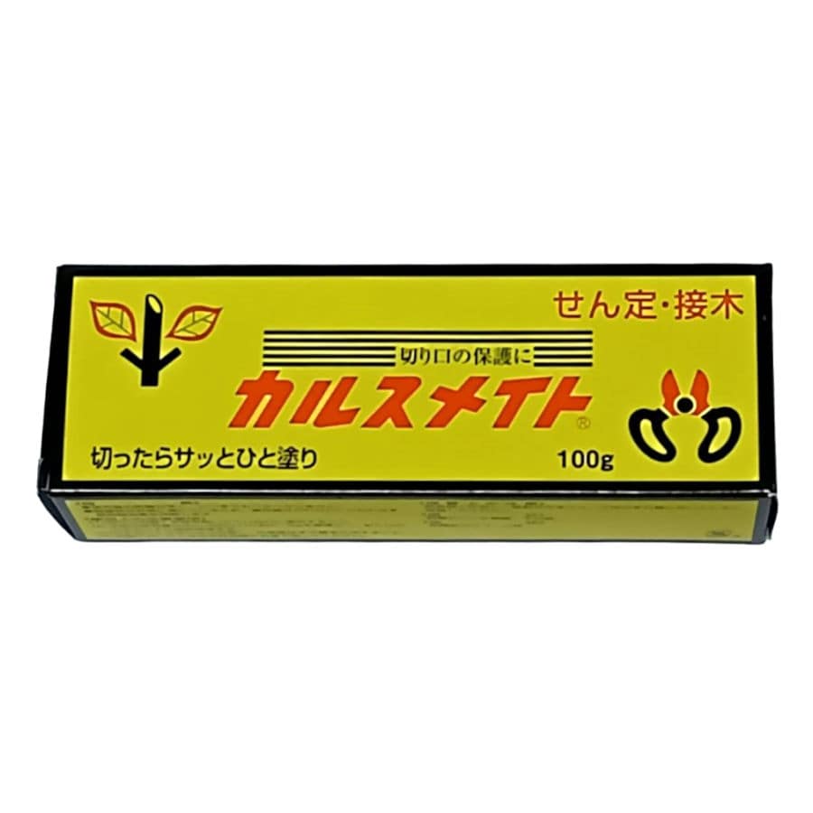 富士薬品工業　カルスメイト　１００ｇ