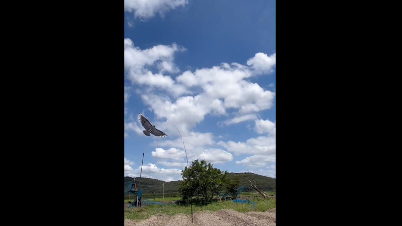 商品動画サムネイル