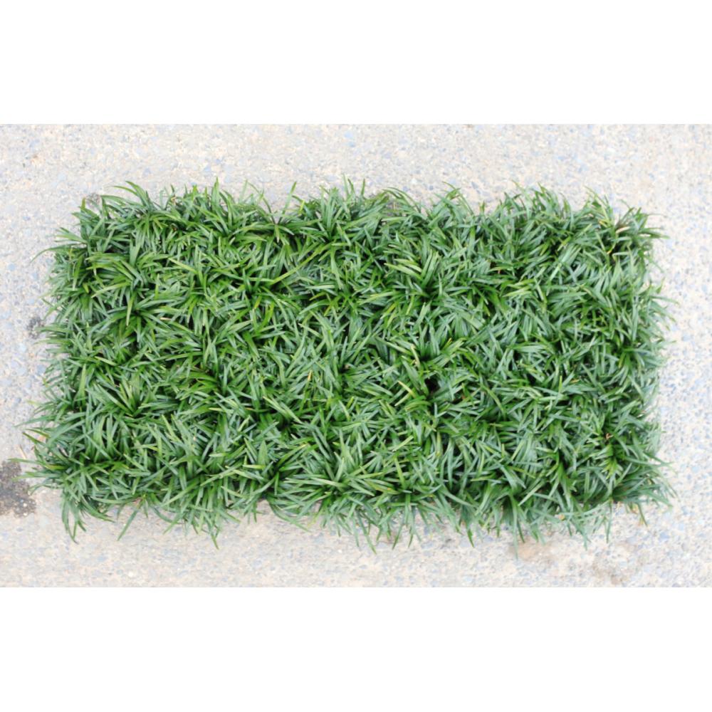 タマリュウ　マット　５枚セット　宅配専用