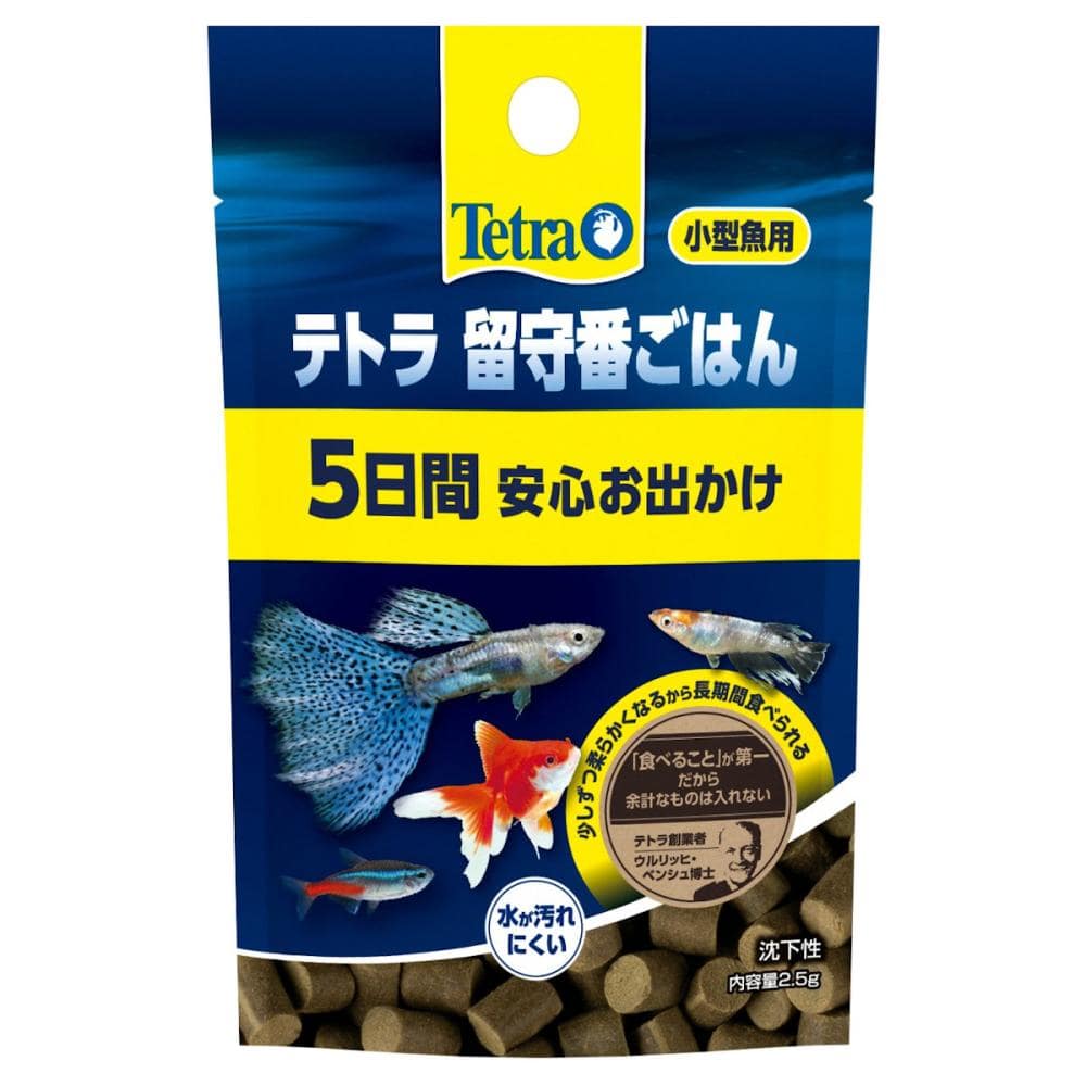 テトラ　留守番ごはん　小型魚用