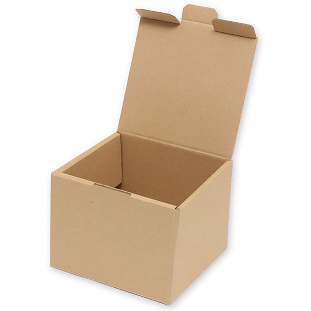 ＨＥＩＫＯ　ナチュラルボックス　無地　Ｚ－１０９　１０枚入り　６２０４１０９＿