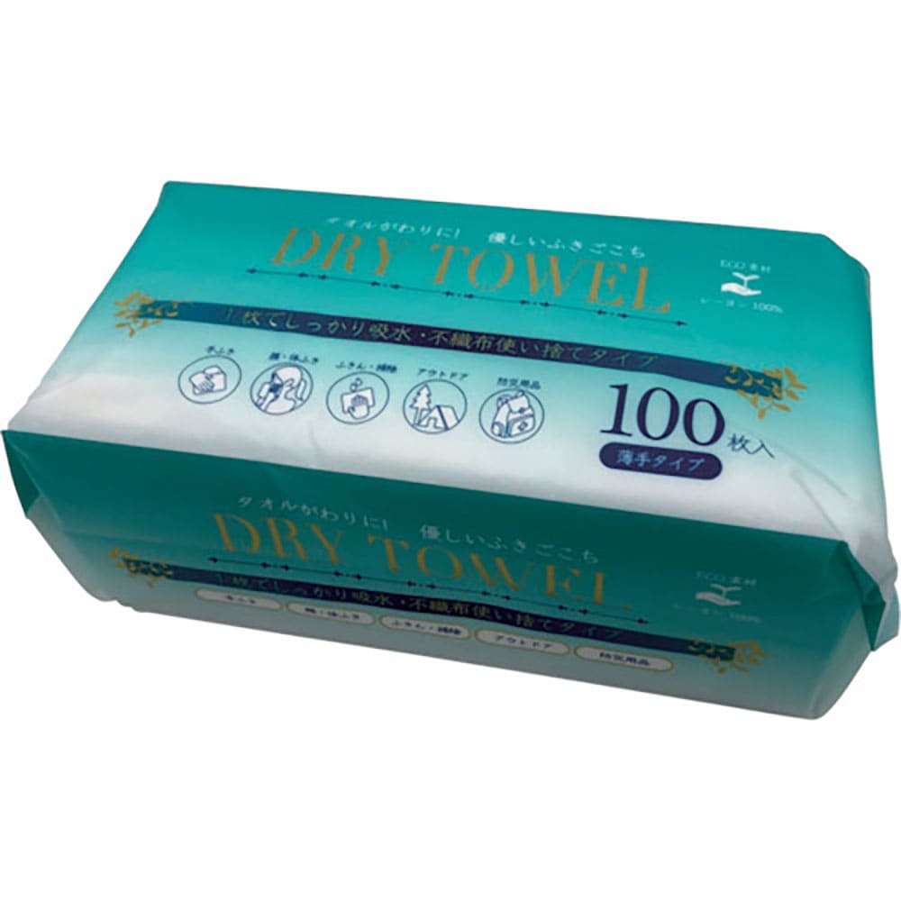 オーミケンシ　不織布ウエス　薄手タイプ　１００枚入　２０×２０ｃｍ　１０１２＿