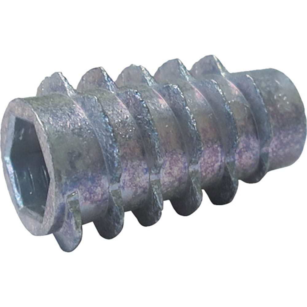 ＤＡＩＤОＨＡＮＴ　ＨＰ　オニメナットＥ　４×１０　２個入　１０１８４７４４＿