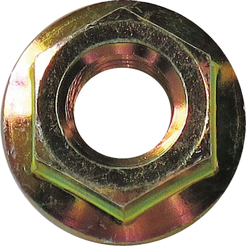 ＤＡＩＤОＨＡＮＴ　ＨＰ　クロメート　六角フランジナット　Ｍ１０　２個入　１０１８５７５０＿