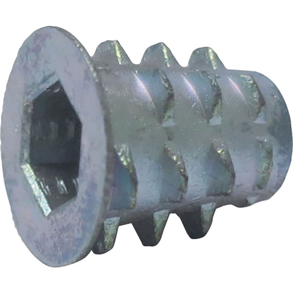 ＤＡＩＤОＨＡＮＴ　ＨＰ　オニメナットＤ　６×１３　２個入　１０１８６６１６＿