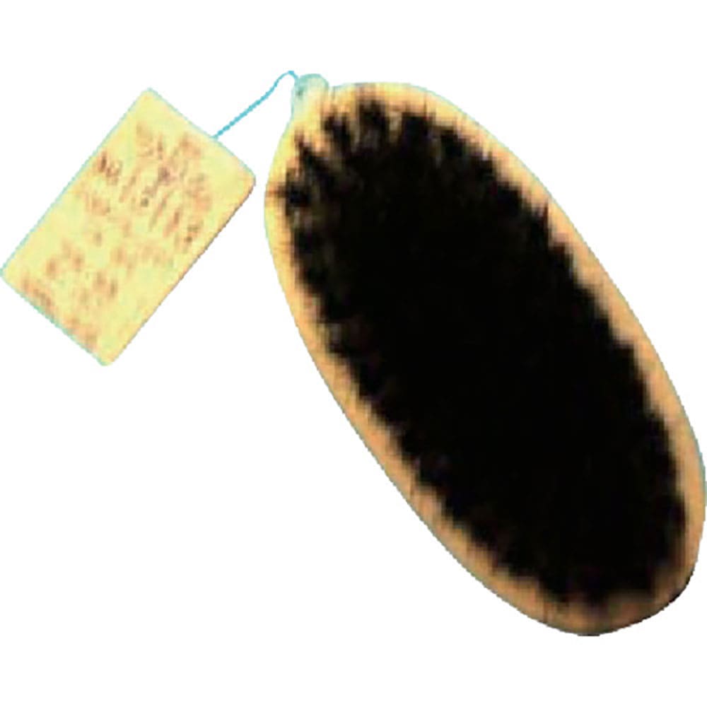 ＫＯＷＡ　小判型ブラシ　４寸豚毛　１３１１３＿