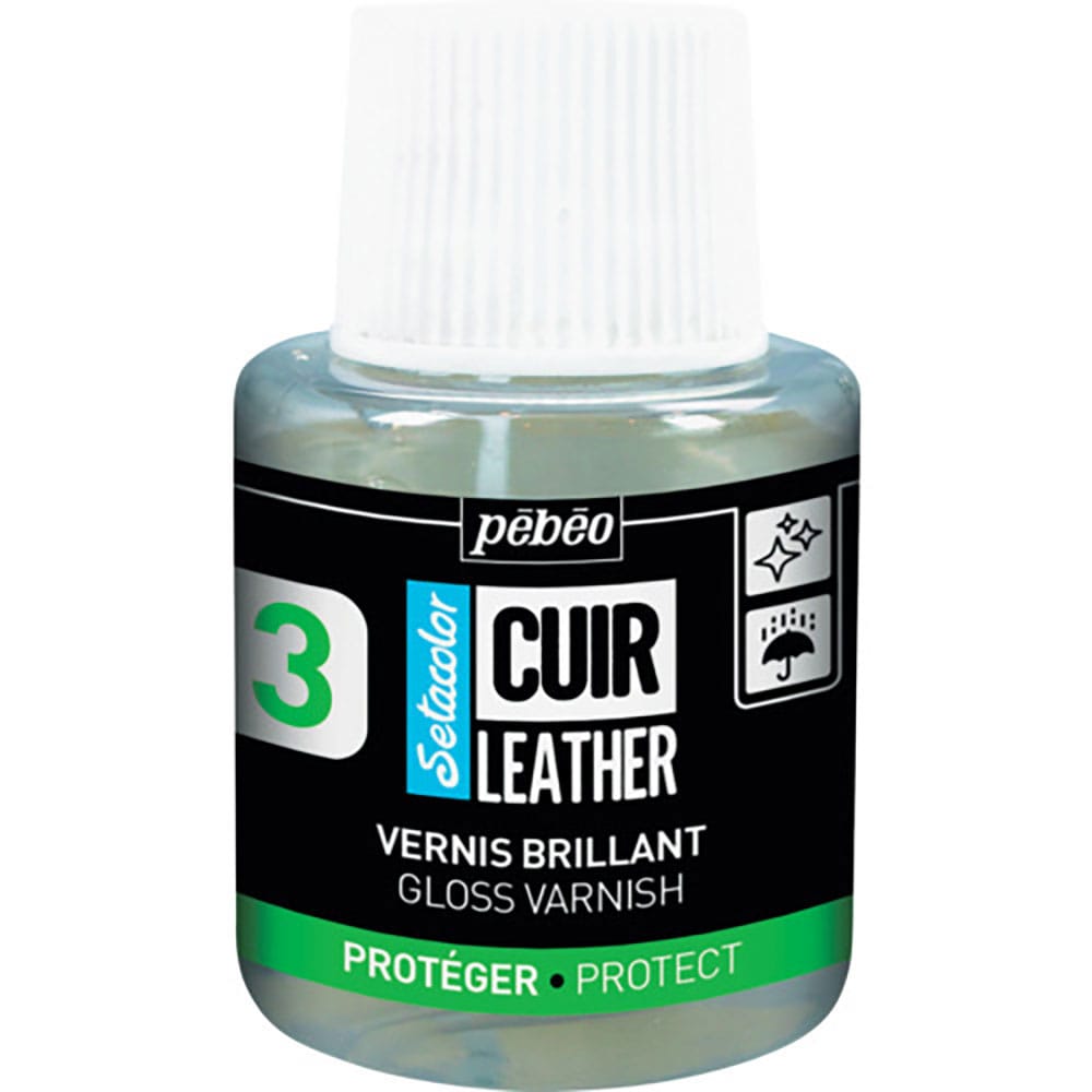 Ｐｅｂｅｏ　セタカラーレザー（革用）１１０ｍｌグロスバーニッシュ　２９５６５６＿