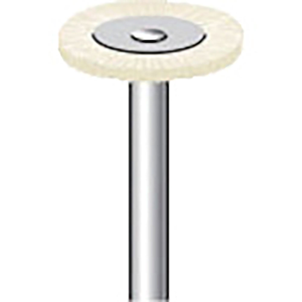 ナカニシ　毛ブラシ　ハード　豚毛　１０本入　ホイール型　φ１７×１×軸φ３　５０１１２＿