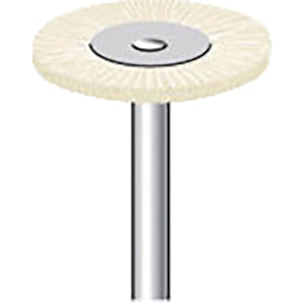 ナカニシ　毛ブラシ　ハード　豚毛　１０本入　ホイール型　φ２０×１×軸φ３　５０１１３＿