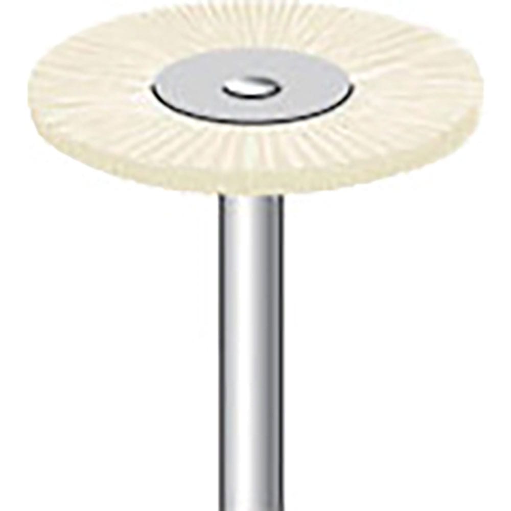 ナカニシ　毛ブラシ　ハード　豚毛　１０本入　ホイール型　φ２３×１×軸φ３　５０１１４＿