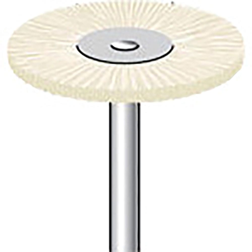 ナカニシ　毛ブラシ　ハード　豚毛　１０本入　ホイール型　φ２５×１×軸φ３　５０１１５＿