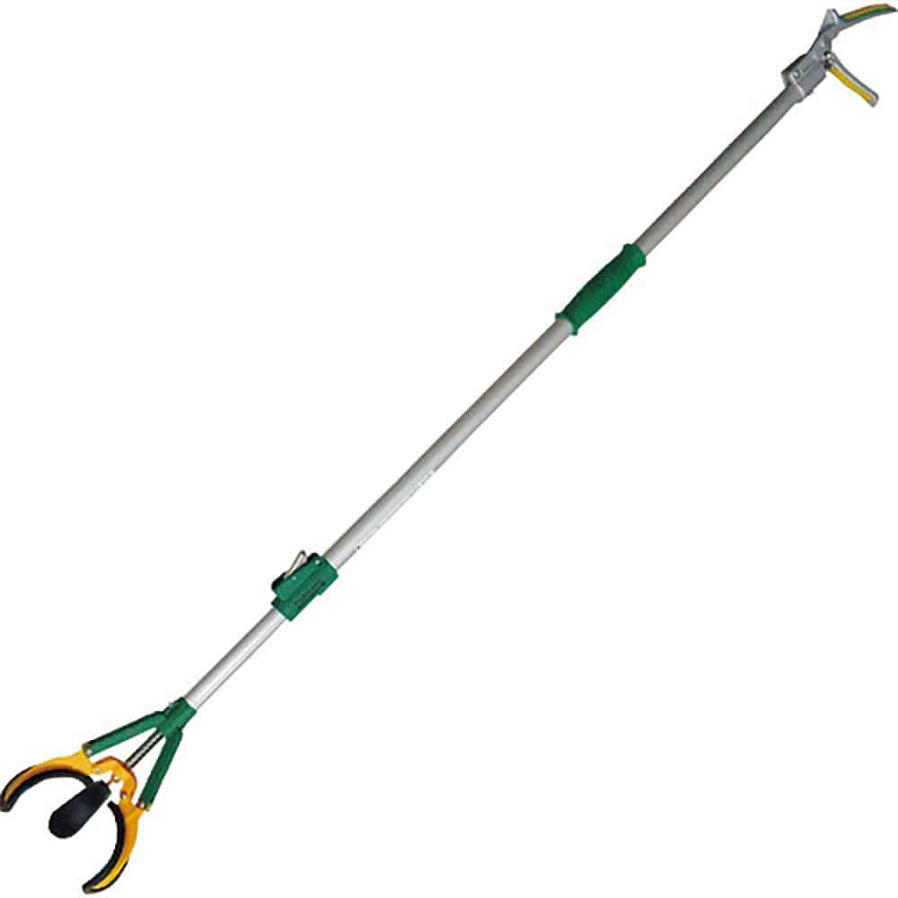 大進　つかむ君　５０２９５２＿